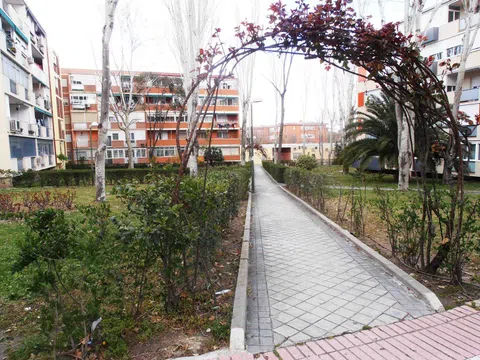 Flat in Colonia Occidente - Photo 20