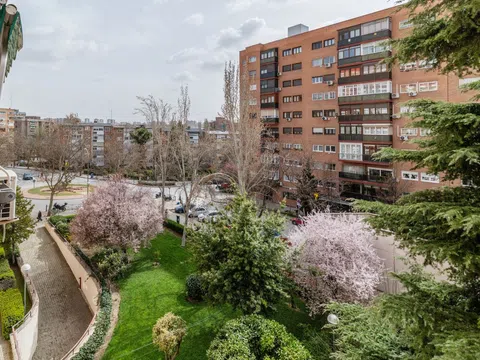 Flat in calle de la Cruz del Sur - Photo 7