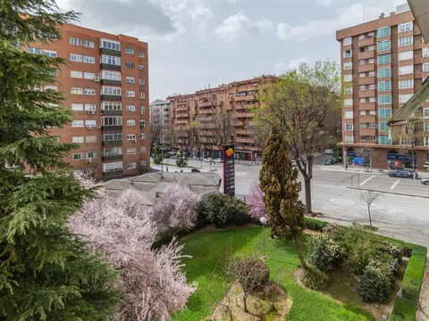 Flat in calle de la Cruz del Sur - Photo 8