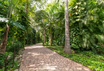 Casa en 77540, Benito Juárez, Quintana Roo, Mex - Photo 4