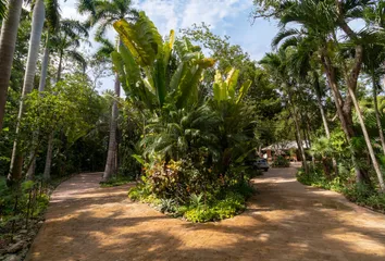 Casa en 77540, Benito Juárez, Quintana Roo, Mex - Photo 5