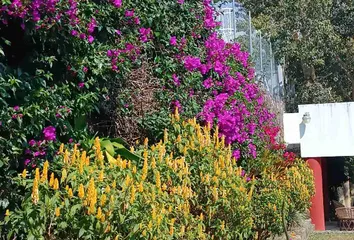 Casa en Calzada De Los Reyes, Tlaltenango, Cuernavaca, Morelos, México - Photo 6