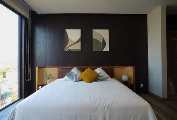 Departamento en San Luis Potosí, Roma Norte, Ciudad De México, Cdmx, México - Photo 12