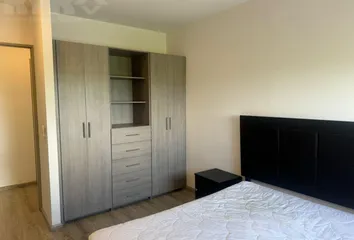 Departamento en Ladrillera, Monterrey - Photo 10