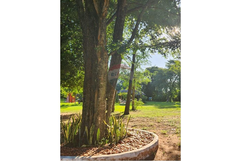 VENDO Casa Quinta en la ciudad de San Bernardino - Photo 3