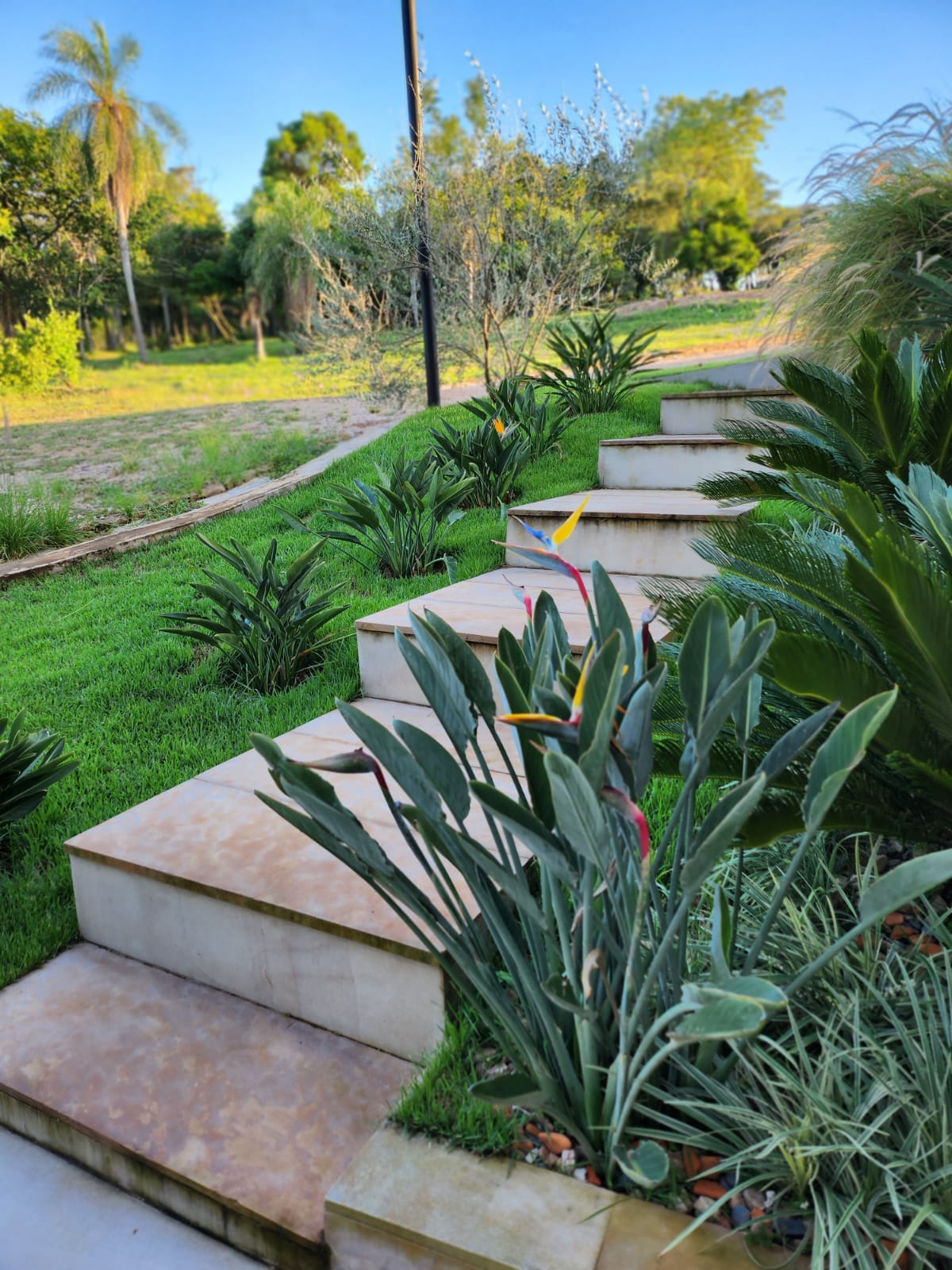 En Venta Imponente Residencia San Bernardino Alta Pietra - Photo 13