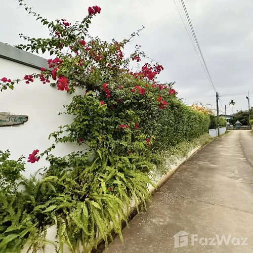 3 Bedroom House for sale in Huai Sak Chiang Rai - Photo 12