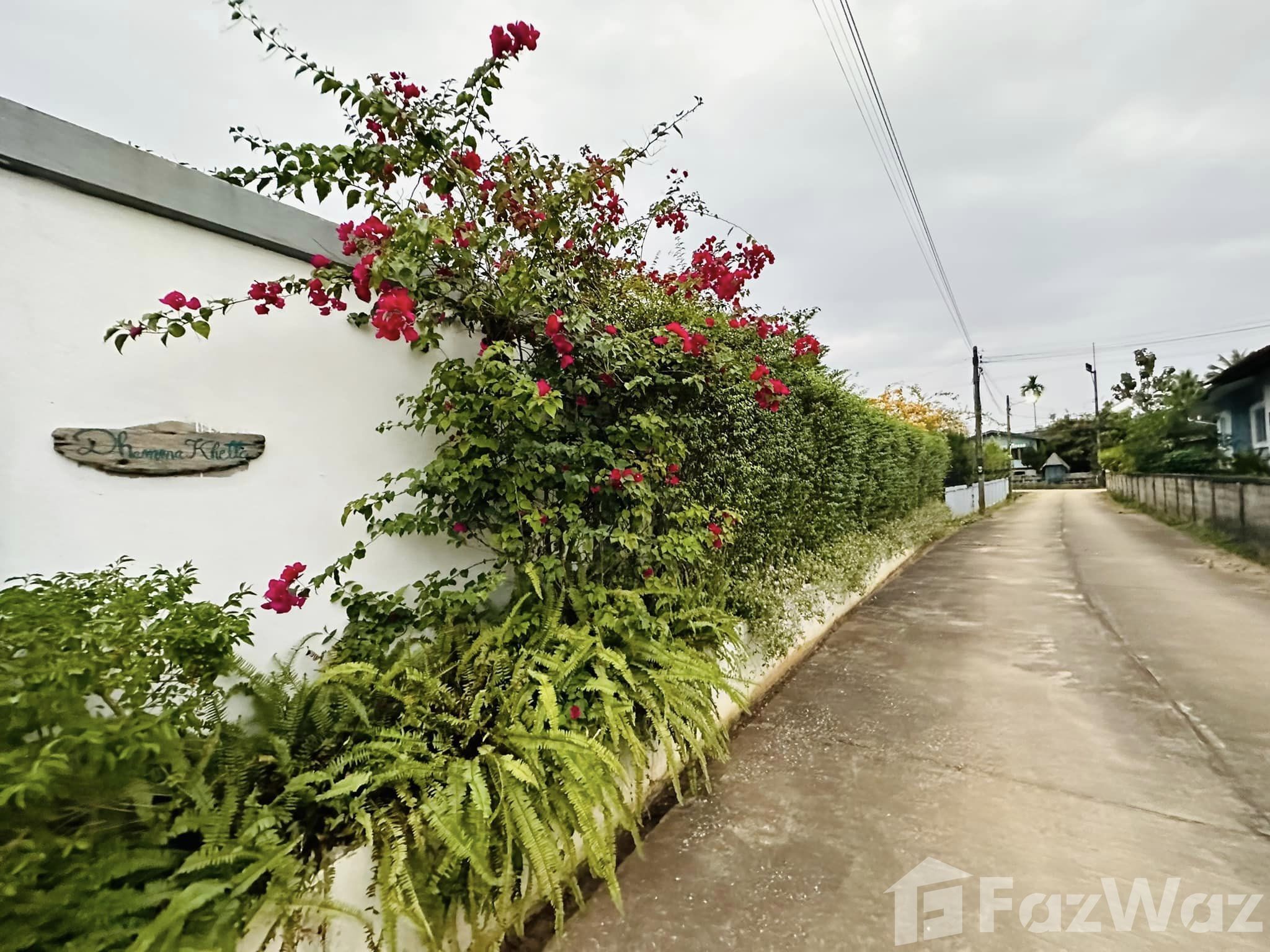 3 Bedroom House for sale in Huai Sak Chiang Rai - Photo 16