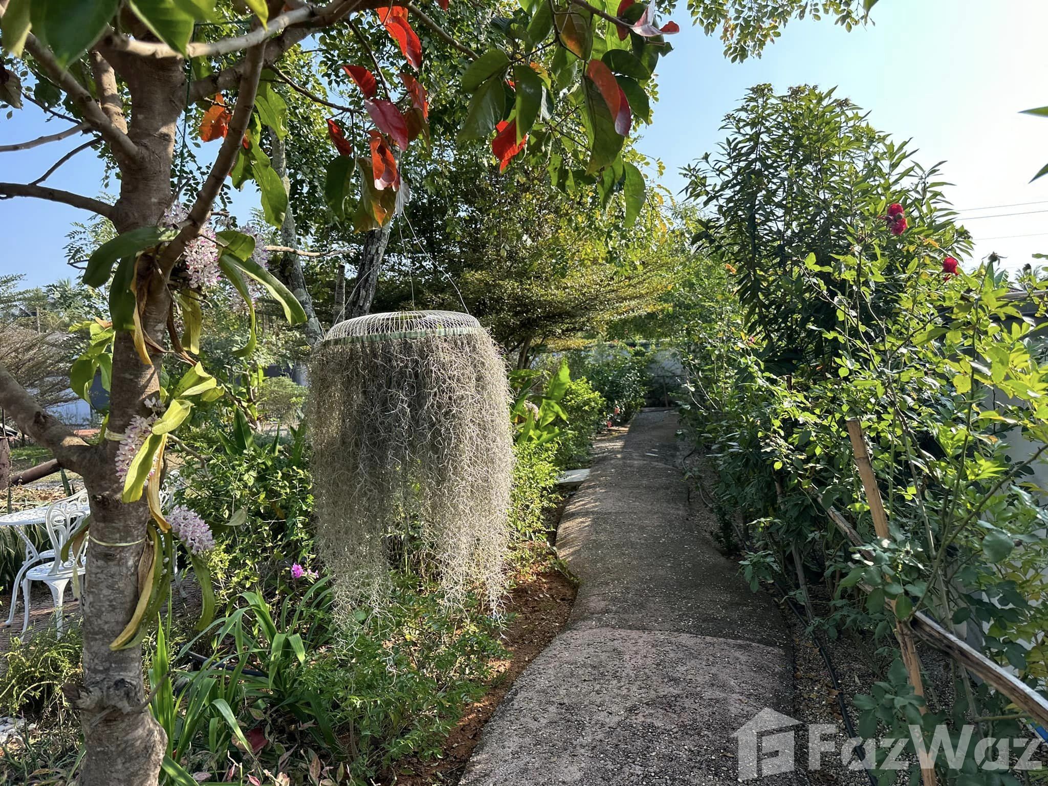 3 Bedroom House for sale in Huai Sak Chiang Rai - Photo 18