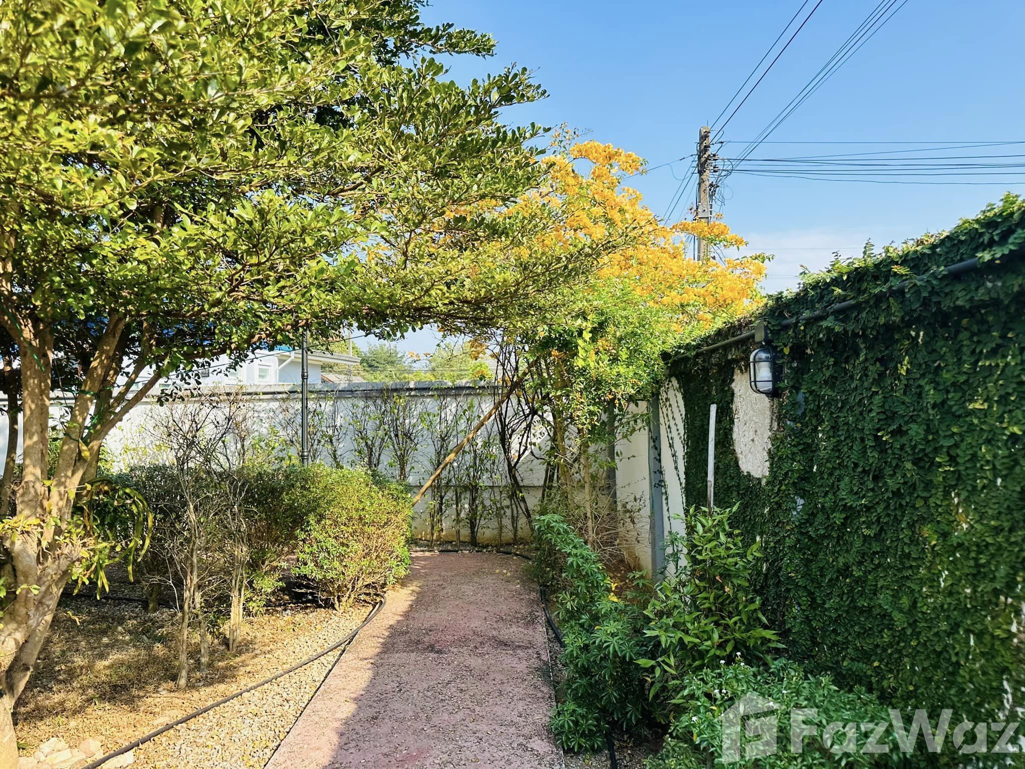 3 Bedroom House for sale in Huai Sak Chiang Rai - Photo 19