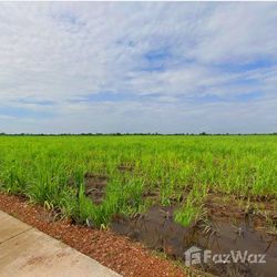 Land for sale in Thep Nakhon Kamphaeng Phet - Photo 5