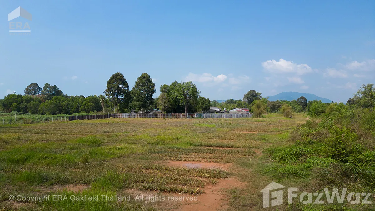 Land for sale in Klaeng Rayong - Photo 13