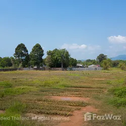 Land for sale in Klaeng Rayong - Photo 5
