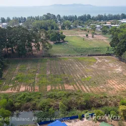 Land for sale in Klaeng Rayong - Photo 9