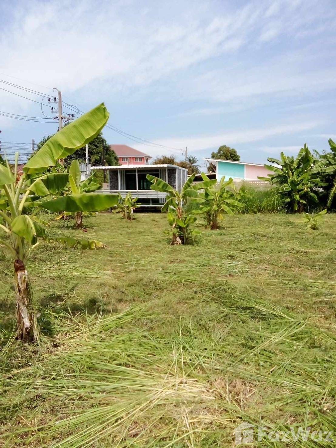 Land for sale in Noen Phra Rayong