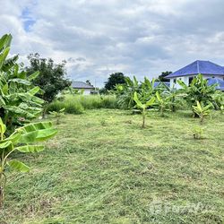 Land for sale in Noen Phra Rayong - Photo 11
