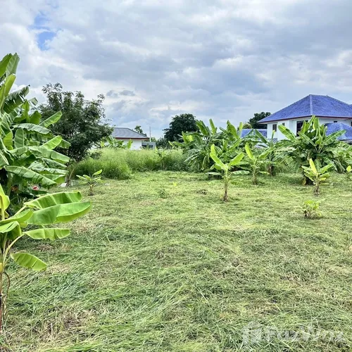 Land for sale in Noen Phra Rayong - Photo 12