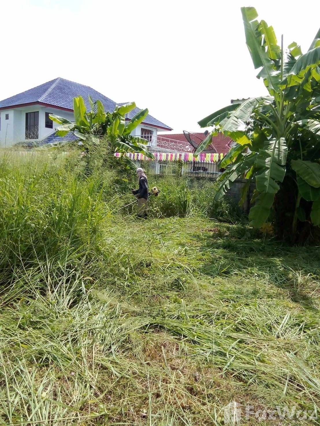 Land for sale in Noen Phra Rayong - Photo 13