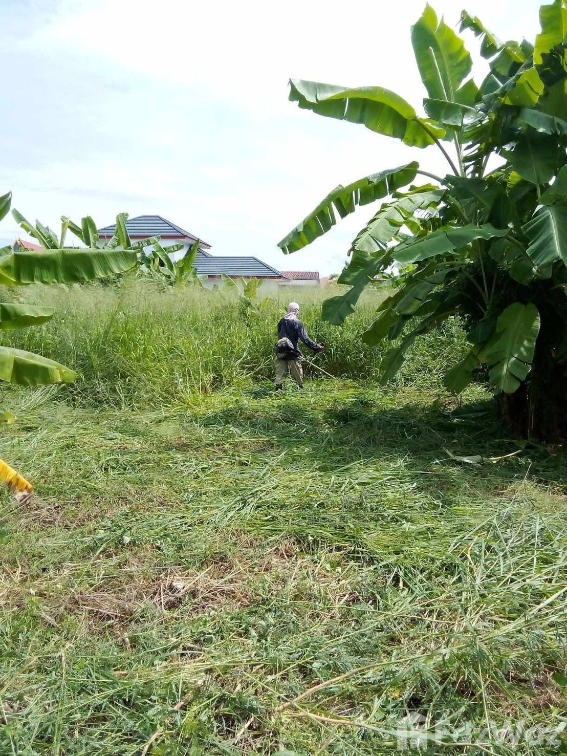 Land for sale in Noen Phra Rayong - Photo 14