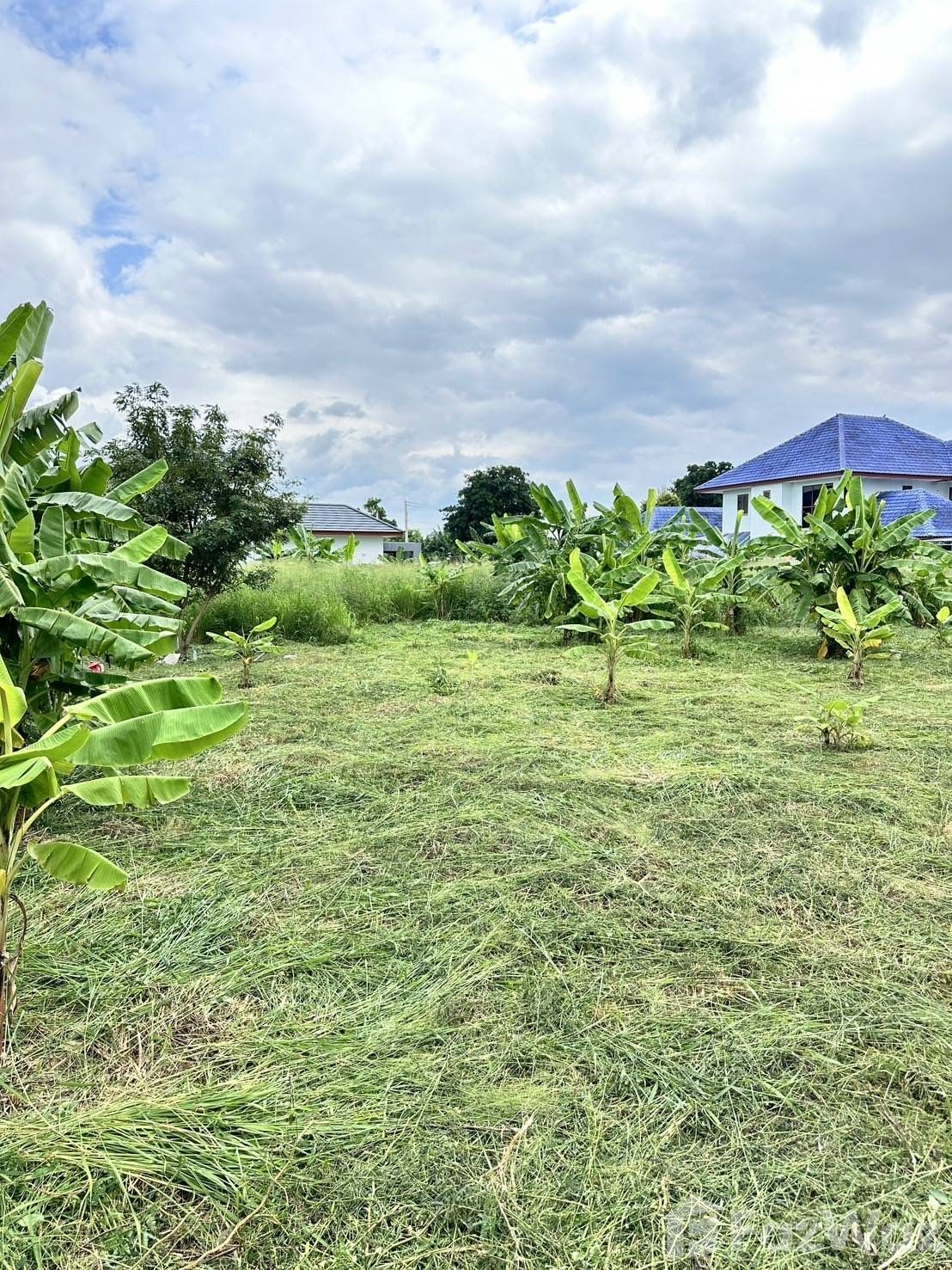 Land for sale in Noen Phra Rayong - Photo 16