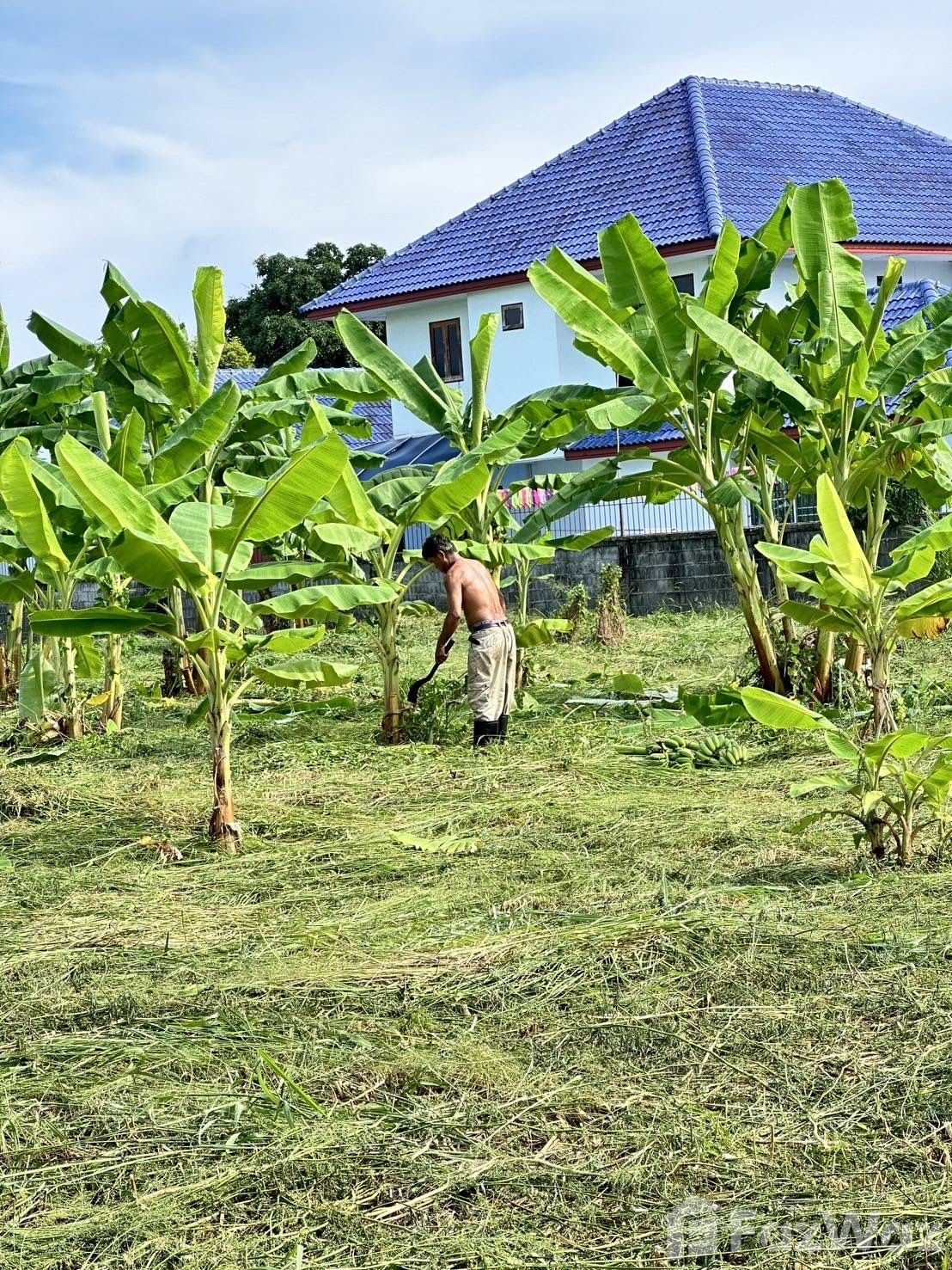 Land for sale in Noen Phra Rayong - Photo 17
