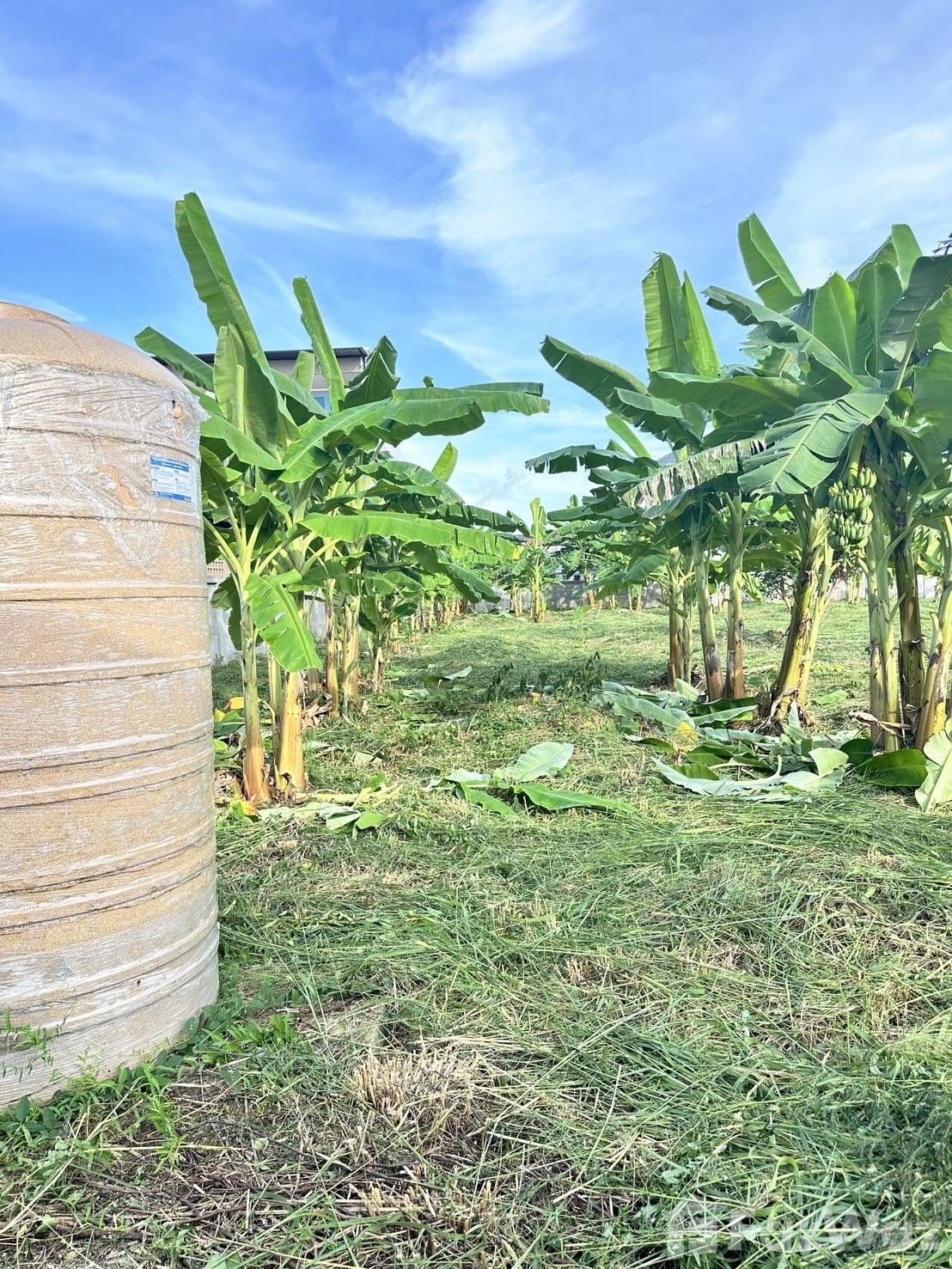 Land for sale in Noen Phra Rayong - Photo 18
