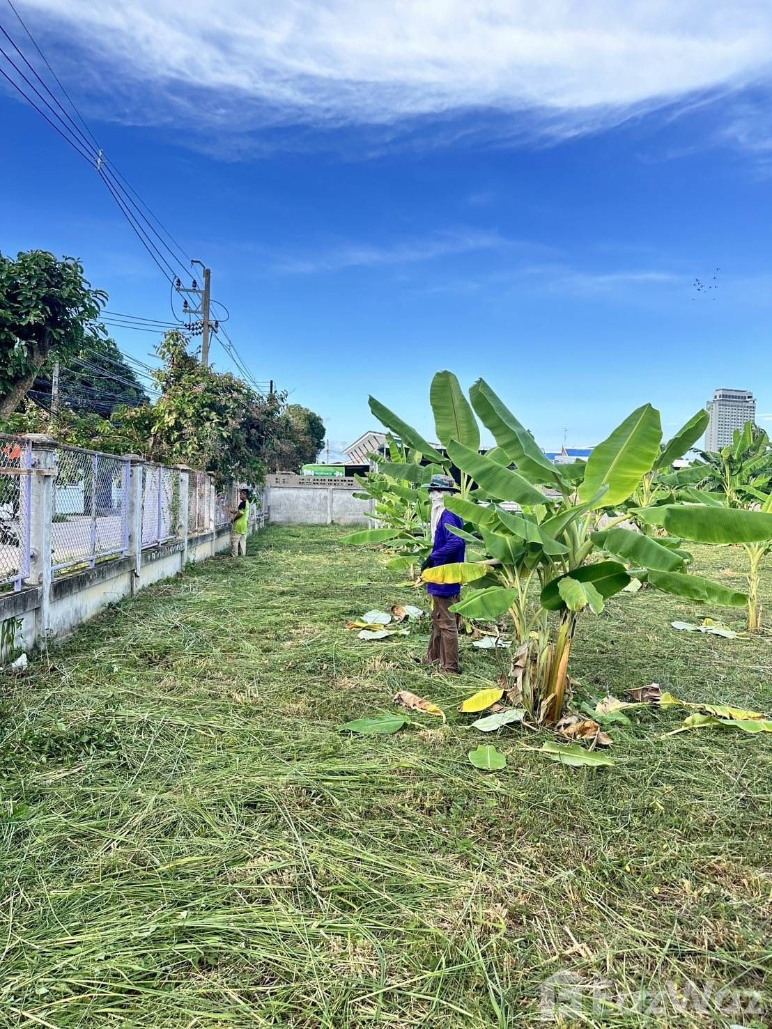 Land for sale in Noen Phra Rayong - Photo 19