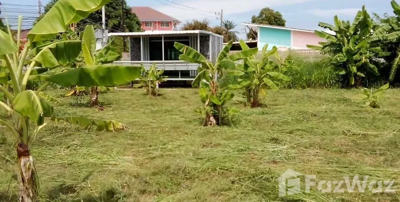 Land for sale in Noen Phra Rayong - Photo 4
