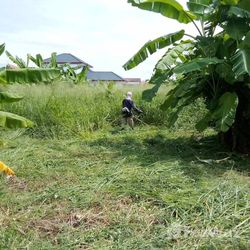 Land for sale in Noen Phra Rayong - Photo 7