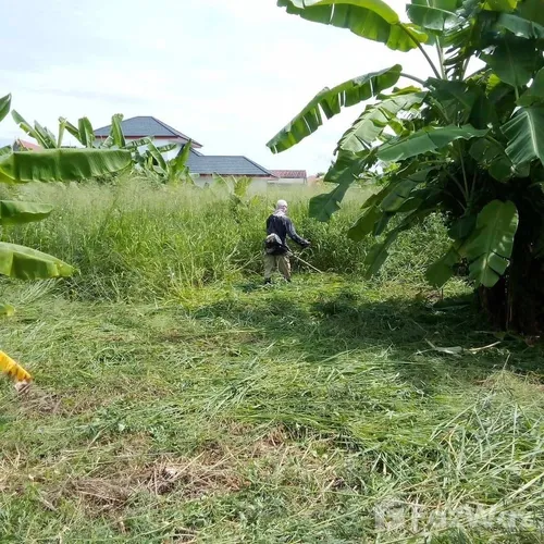 Land for sale in Noen Phra Rayong - Photo 8