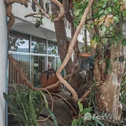 6 Bedroom House for sale in Maret Surat Thani - Photo 11