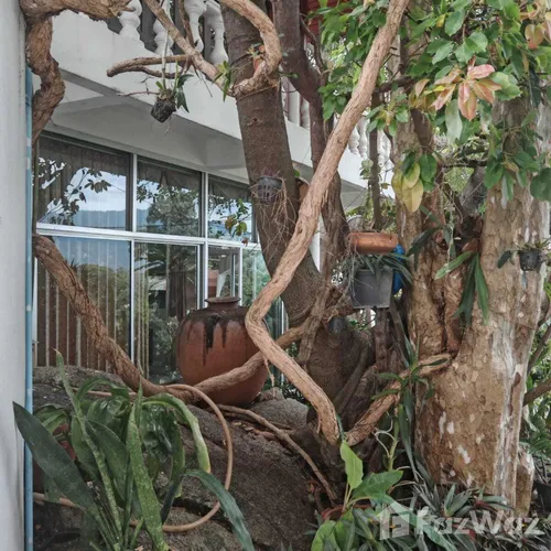 6 Bedroom House for sale in Maret Surat Thani - Photo 12