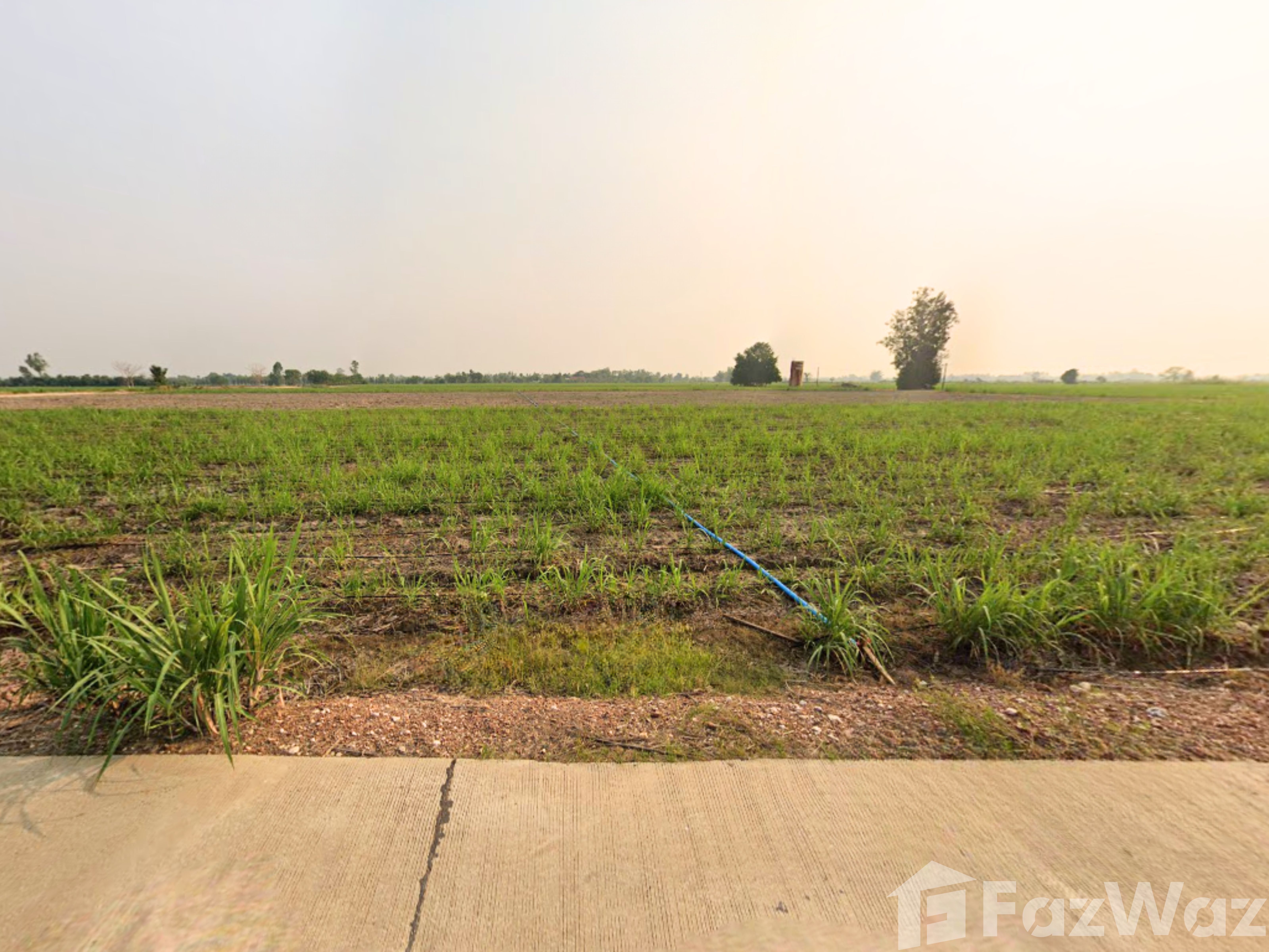 Land for sale in Thep Nakhon Kamphaeng Phet - Photo 14