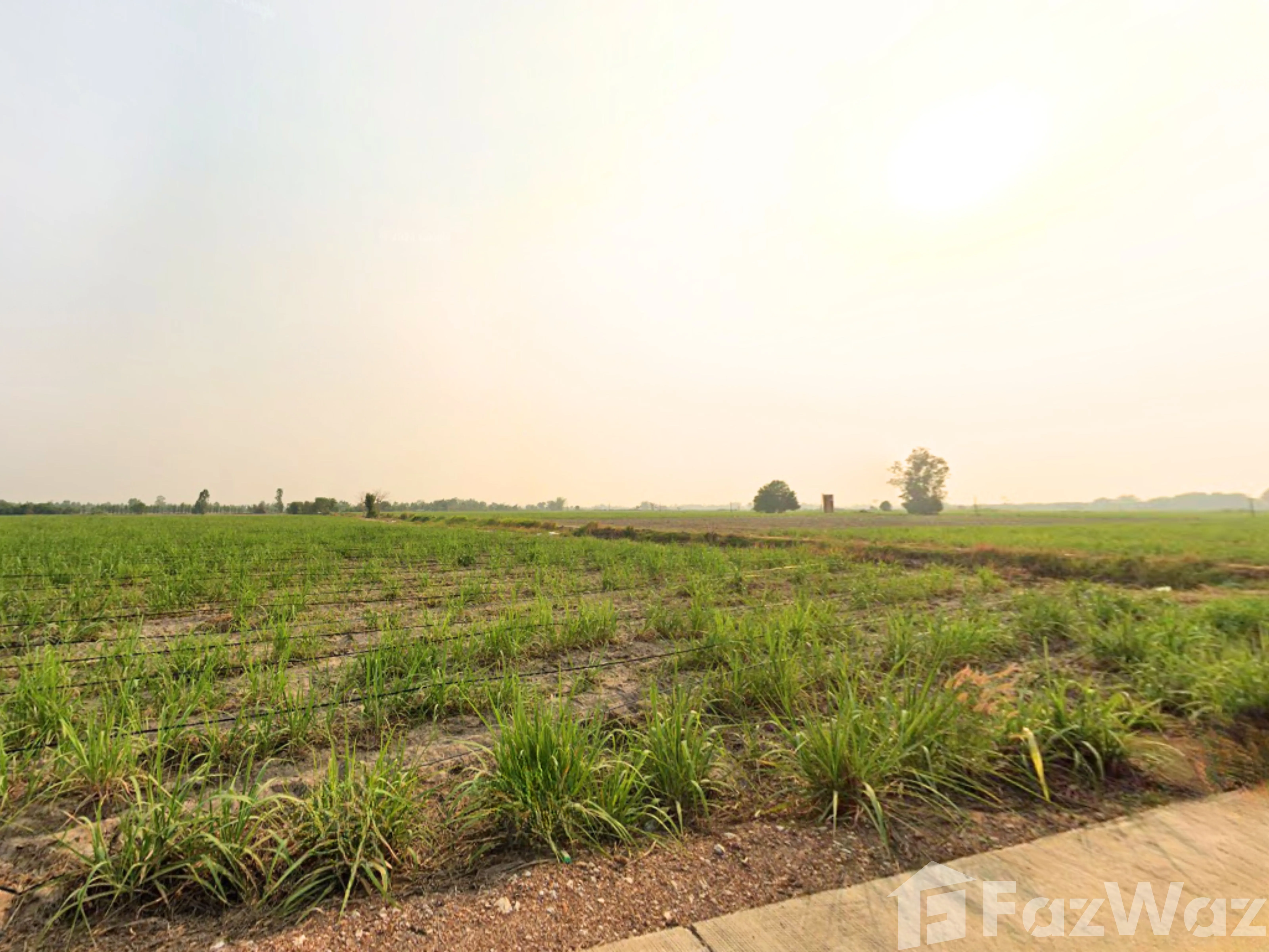 Land for sale in Thep Nakhon Kamphaeng Phet - Photo 17