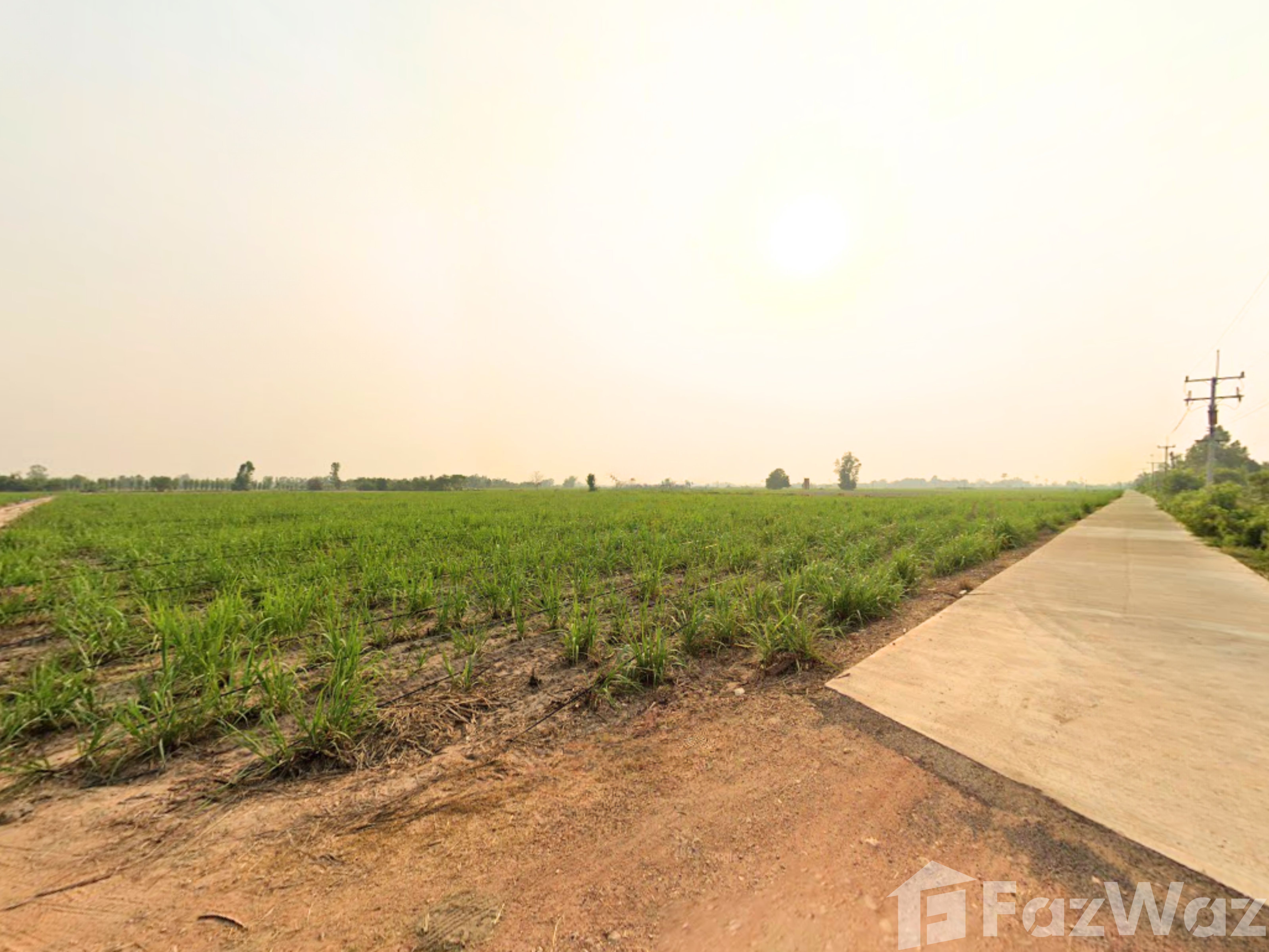 Land for sale in Thep Nakhon Kamphaeng Phet - Photo 18