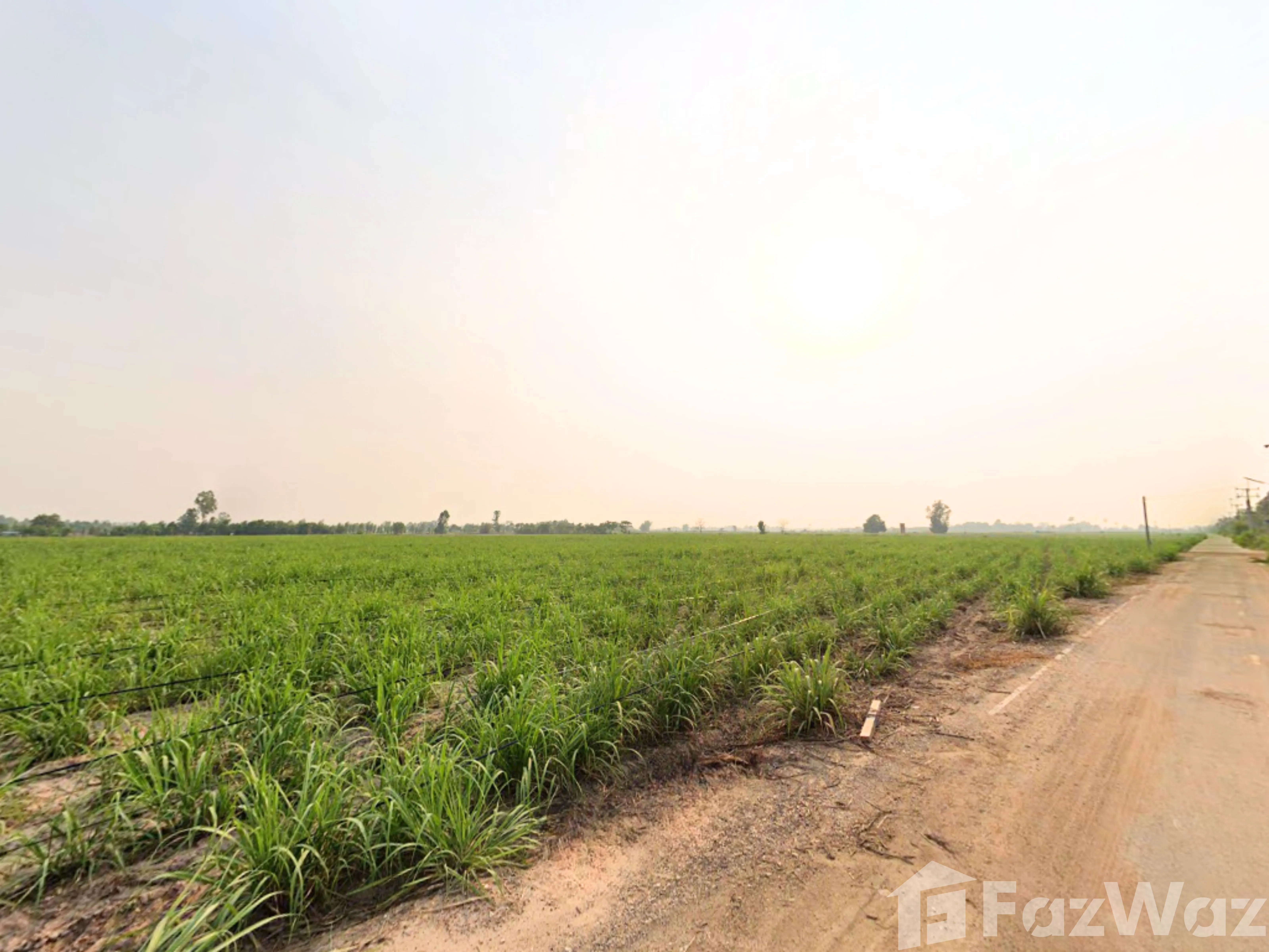 Land for sale in Thep Nakhon Kamphaeng Phet - Photo 20