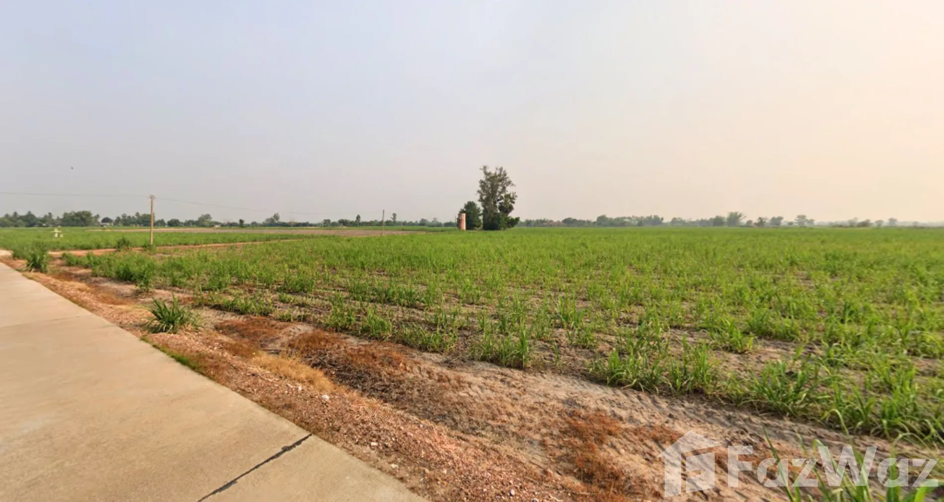 Land for sale in Thep Nakhon Kamphaeng Phet - Photo 3