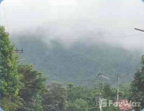 3 Bedroom House for sale in Makhuea Chae Lamphun - Photo 19