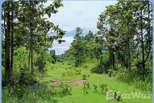 3 Bedroom House for sale in Makhuea Chae Lamphun - Photo 20