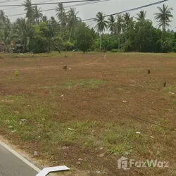 Land for sale in Khok Kloi Phangnga - Photo 11