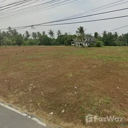 Land for sale in Khok Kloi Phangnga - Photo 7
