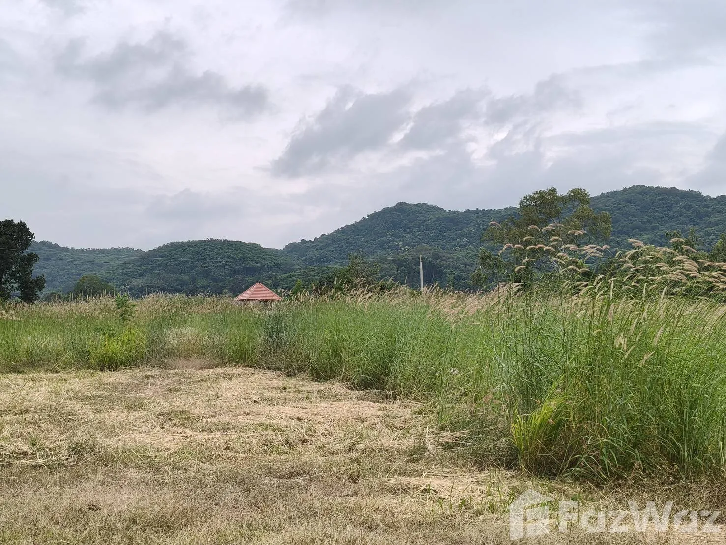 Land for sale in Nong Sarai Nakhon Ratchasima