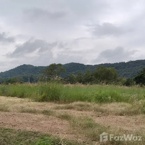 Land for sale in Nong Sarai Nakhon Ratchasima - Photo 12