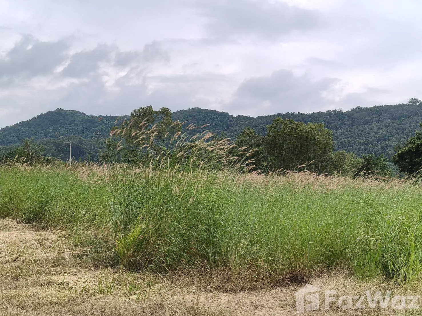 Land for sale in Nong Sarai Nakhon Ratchasima - Photo 13