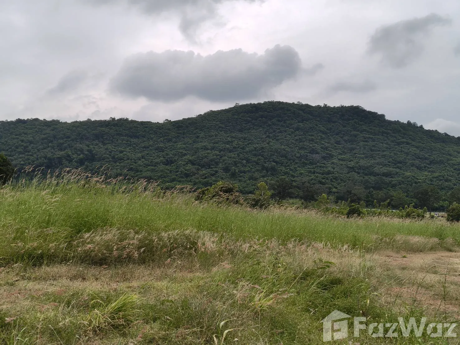 Land for sale in Nong Sarai Nakhon Ratchasima - Photo 14