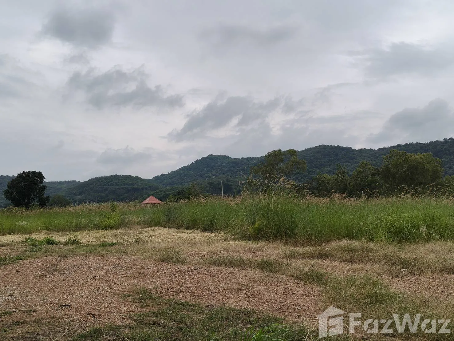 Land for sale in Nong Sarai Nakhon Ratchasima - Photo 15