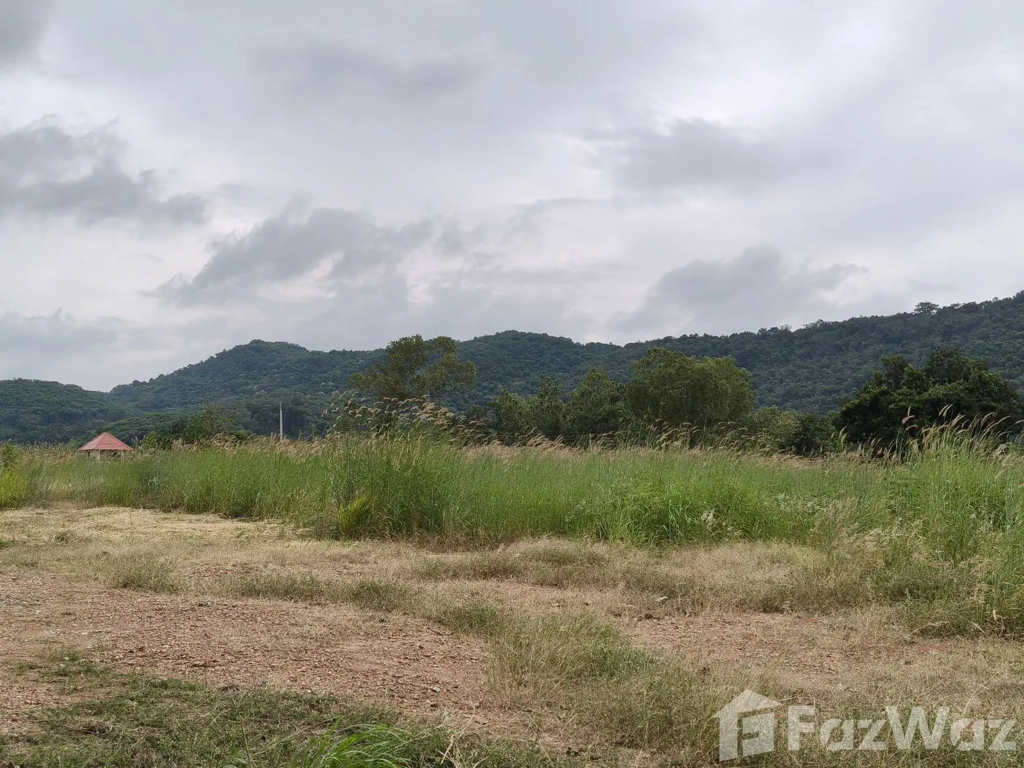 Land for sale in Nong Sarai Nakhon Ratchasima - Photo 16