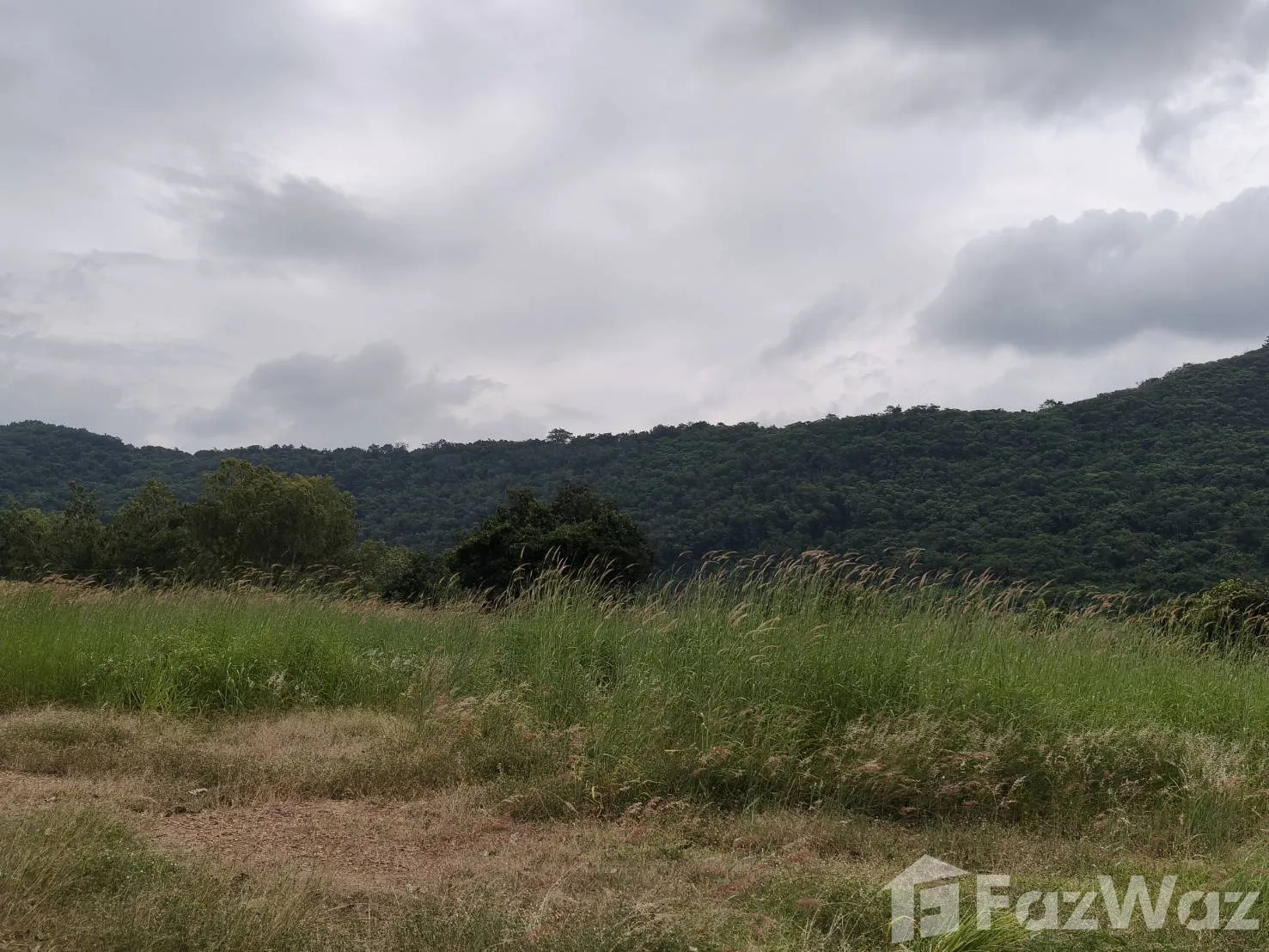 Land for sale in Nong Sarai Nakhon Ratchasima - Photo 17