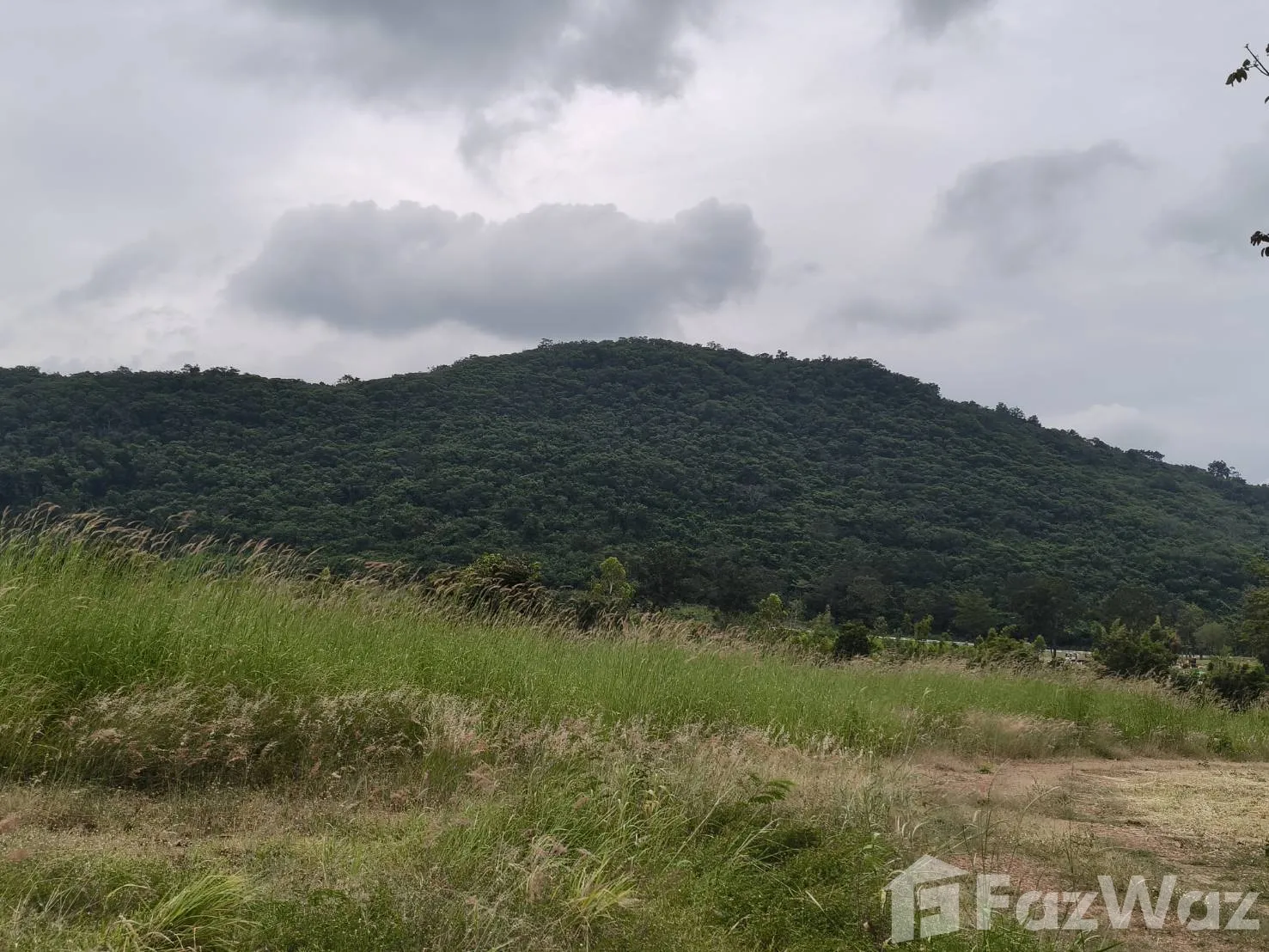 Land for sale in Nong Sarai Nakhon Ratchasima - Photo 18