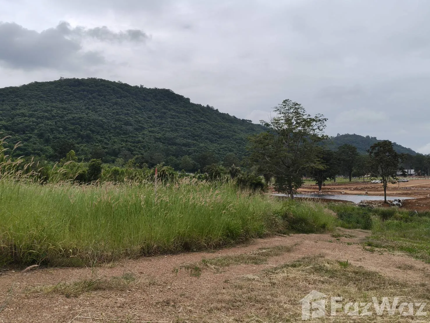 Land for sale in Nong Sarai Nakhon Ratchasima - Photo 19